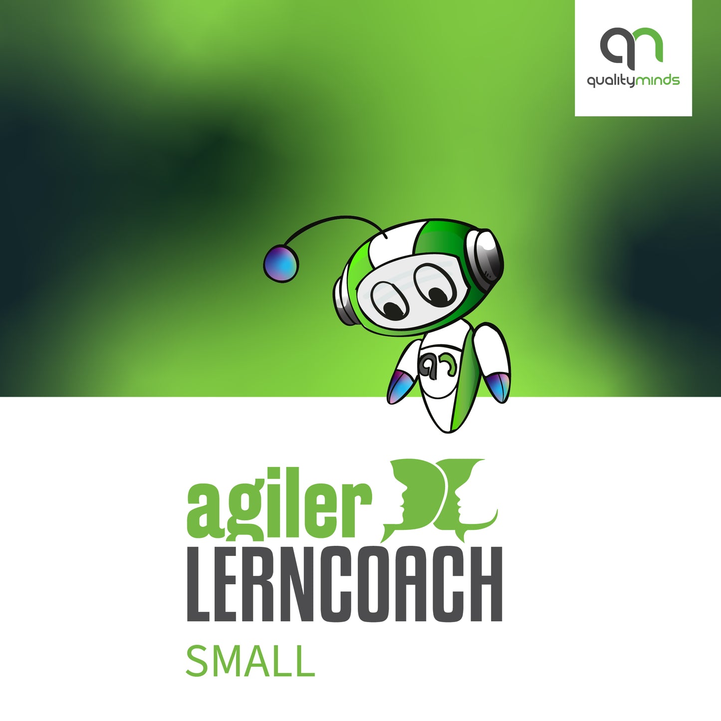Ausbildung „Agiler Lerncoach“ Paket SMALL