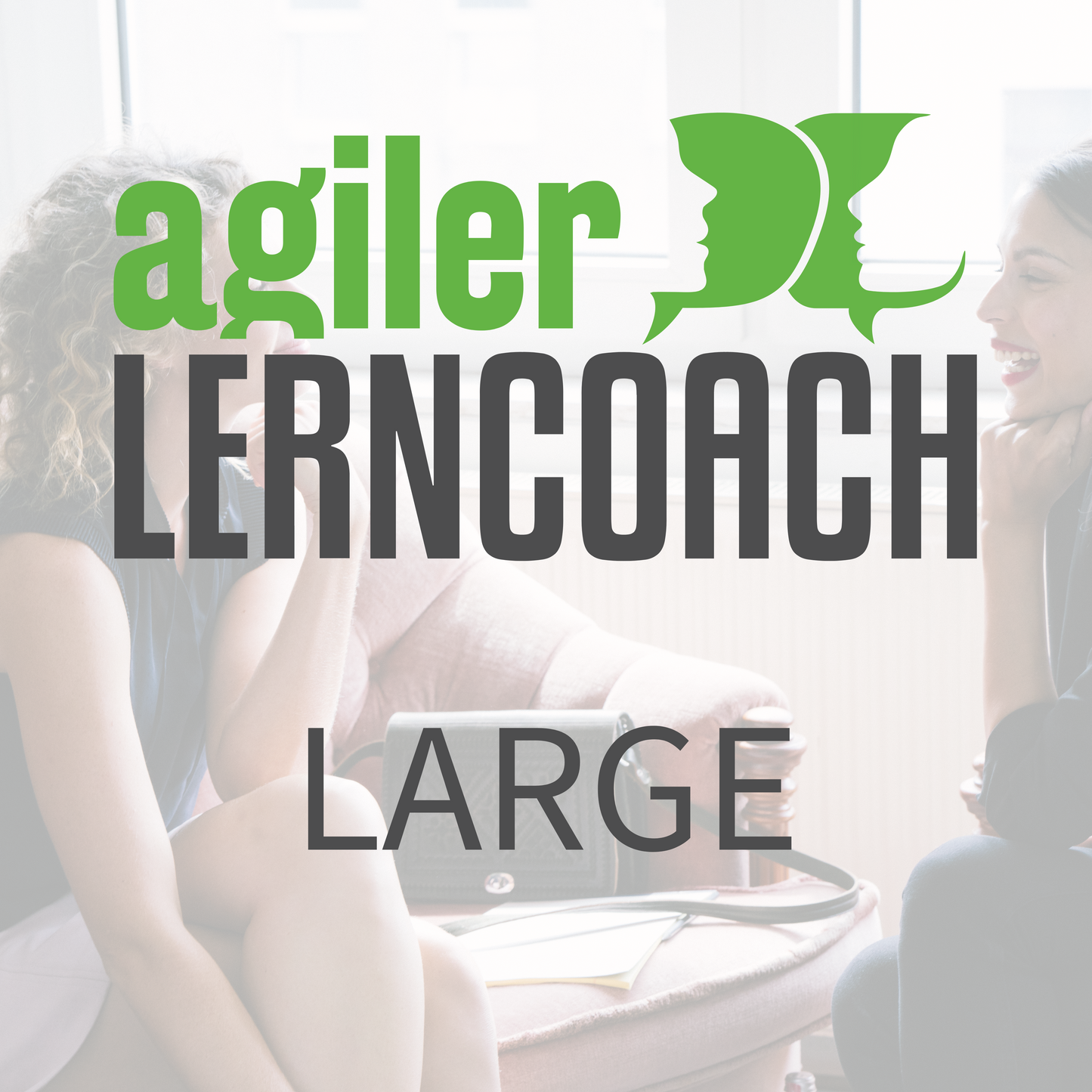 Ausbildung „Agiler Lerncoach“ Paket LARGE